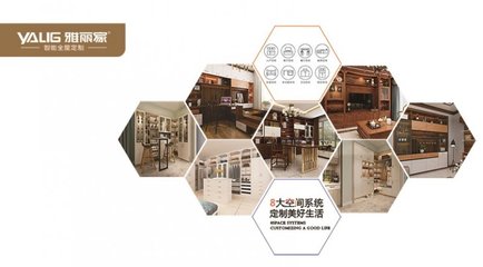 雅麗家櫥柜品牌定位與設(shè)計服務(wù)解析